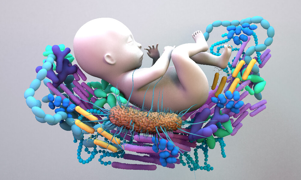 Interrogation Of Human Milk Oligosaccharide Utilisation Pathways In An Infant Bifidobacterial Community By Intergrated Genomics And Proteomics